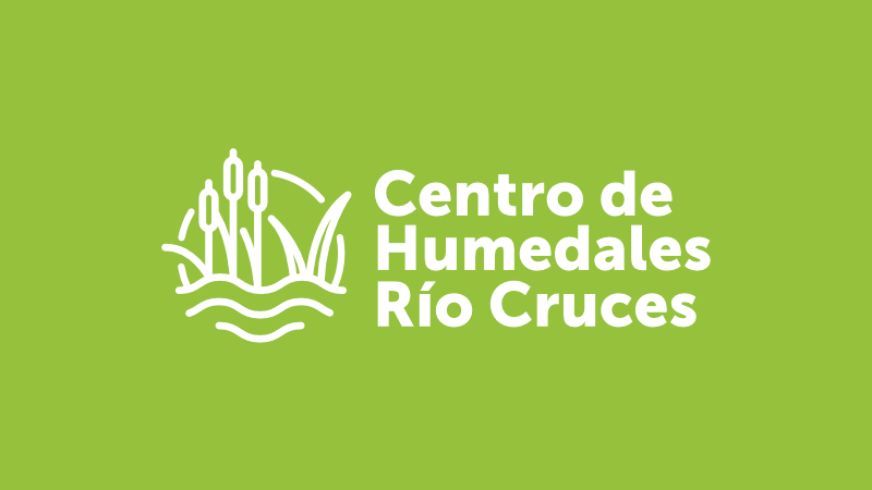 Postulación Director (a) Ejecutivo (a) Centro Humedales Río Cruces