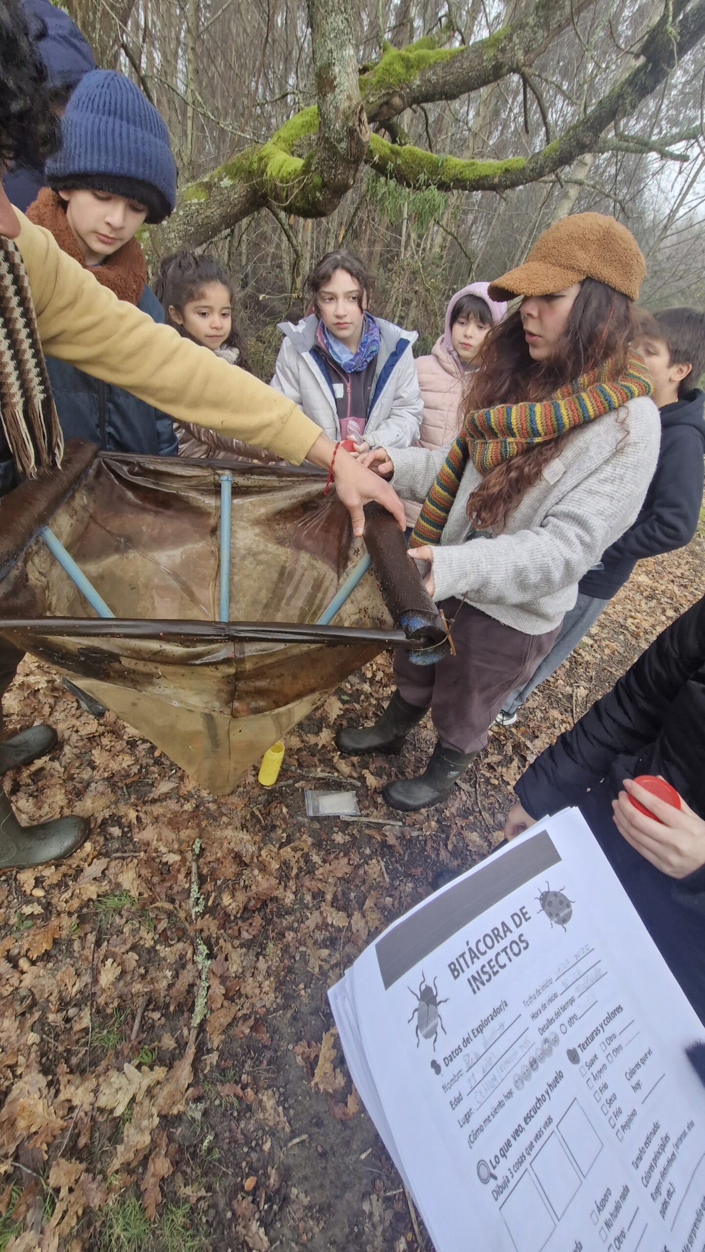 talleres de invierno (2)