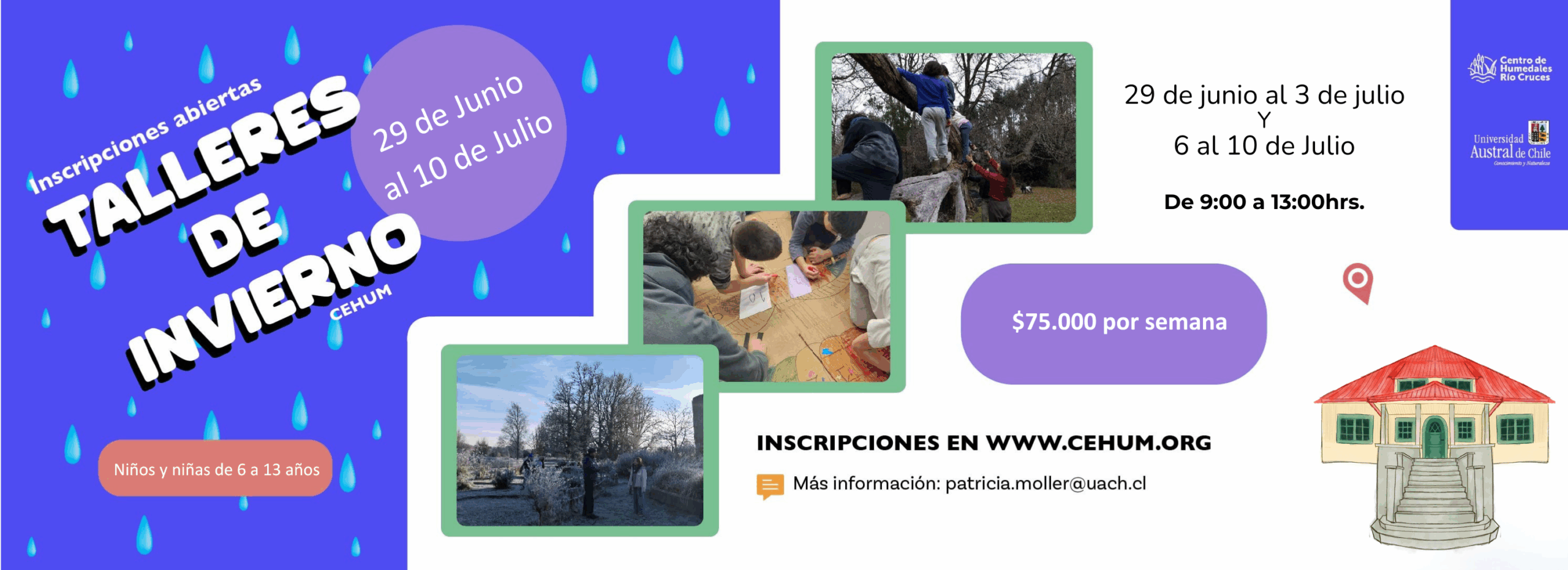 Plantilla Banner Talleres Invierno